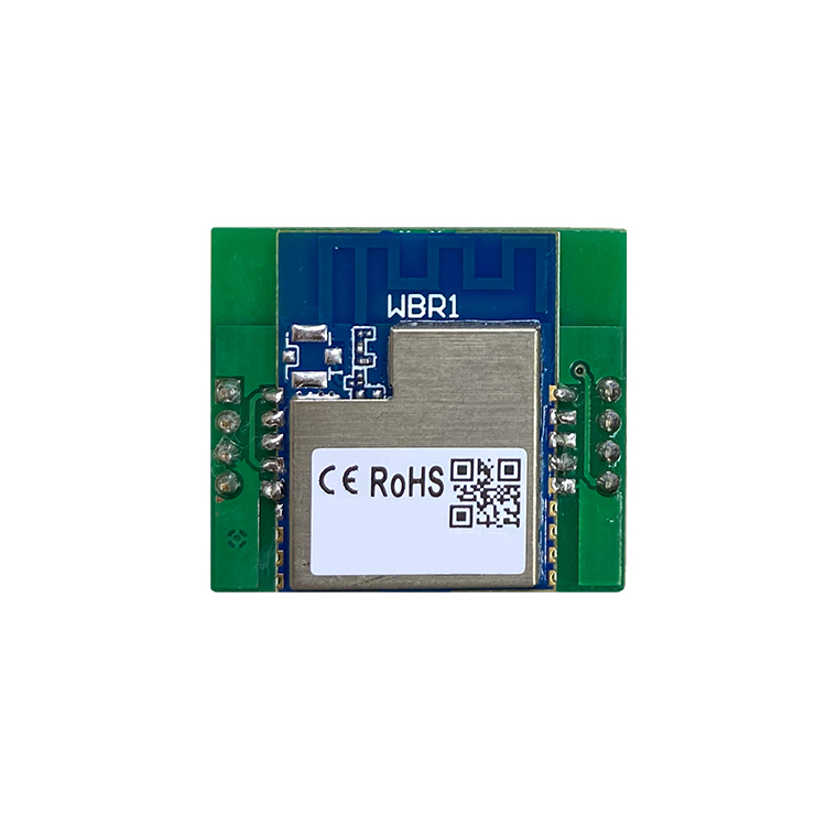 DK-2865 (P1) Keypad with AP-01 Wi-Fi Module - Image 5